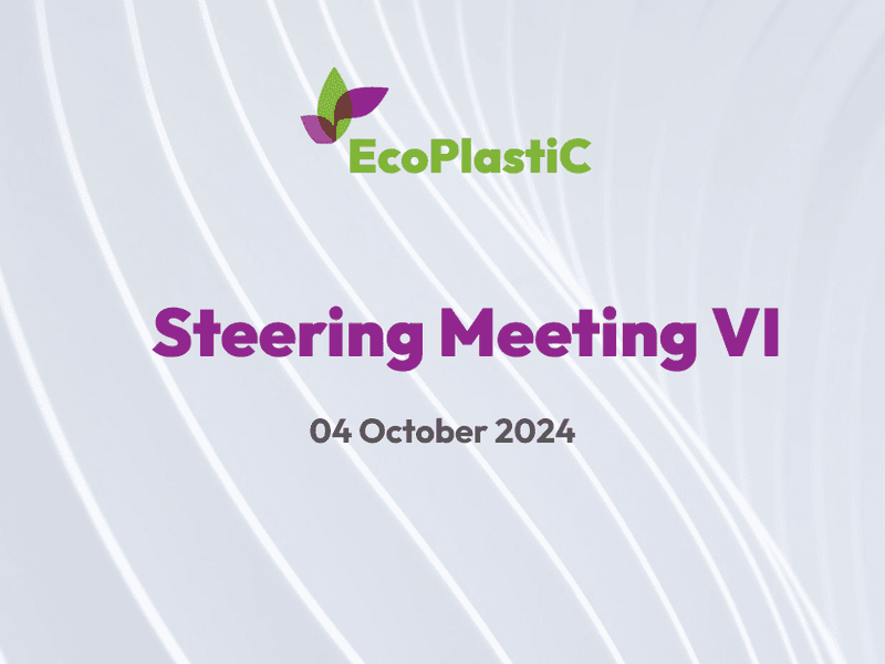 Cover Image for Sixth EcoPlastiC Steering Meeting