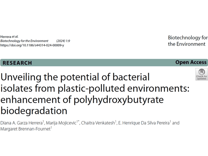 Cover Image for Unveiling the potential of bacterial isolates from plastic-polluted environments: enhancement of polyhydroxybutyrate biodegradation