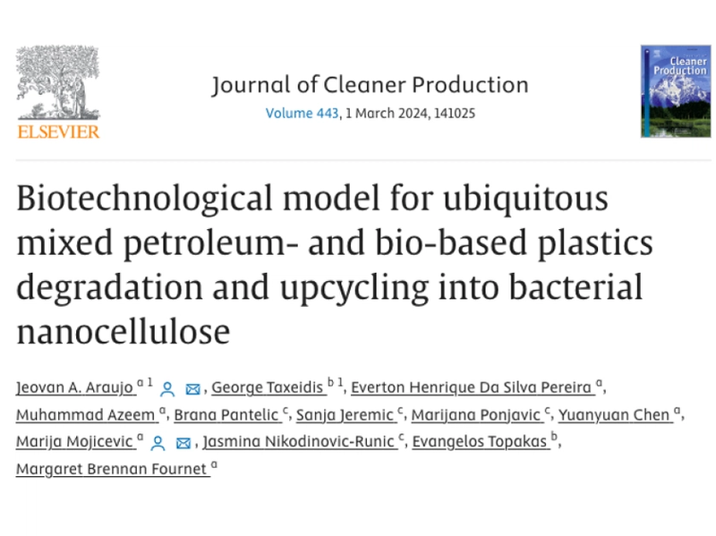 Cover Image for Biotechnological model for ubiquitous mixed petroleum- and bio-based plastics degradation and upcycling into bacterial nanocellulose