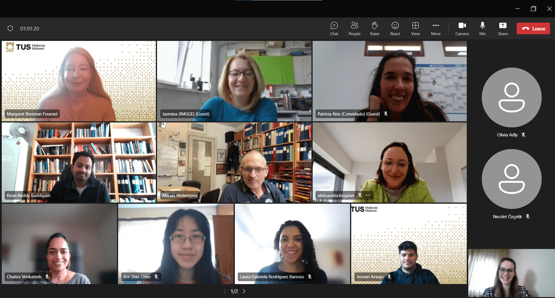 First screenshot of people grid on Teams taken during the EcoPlastiC online steering meeting