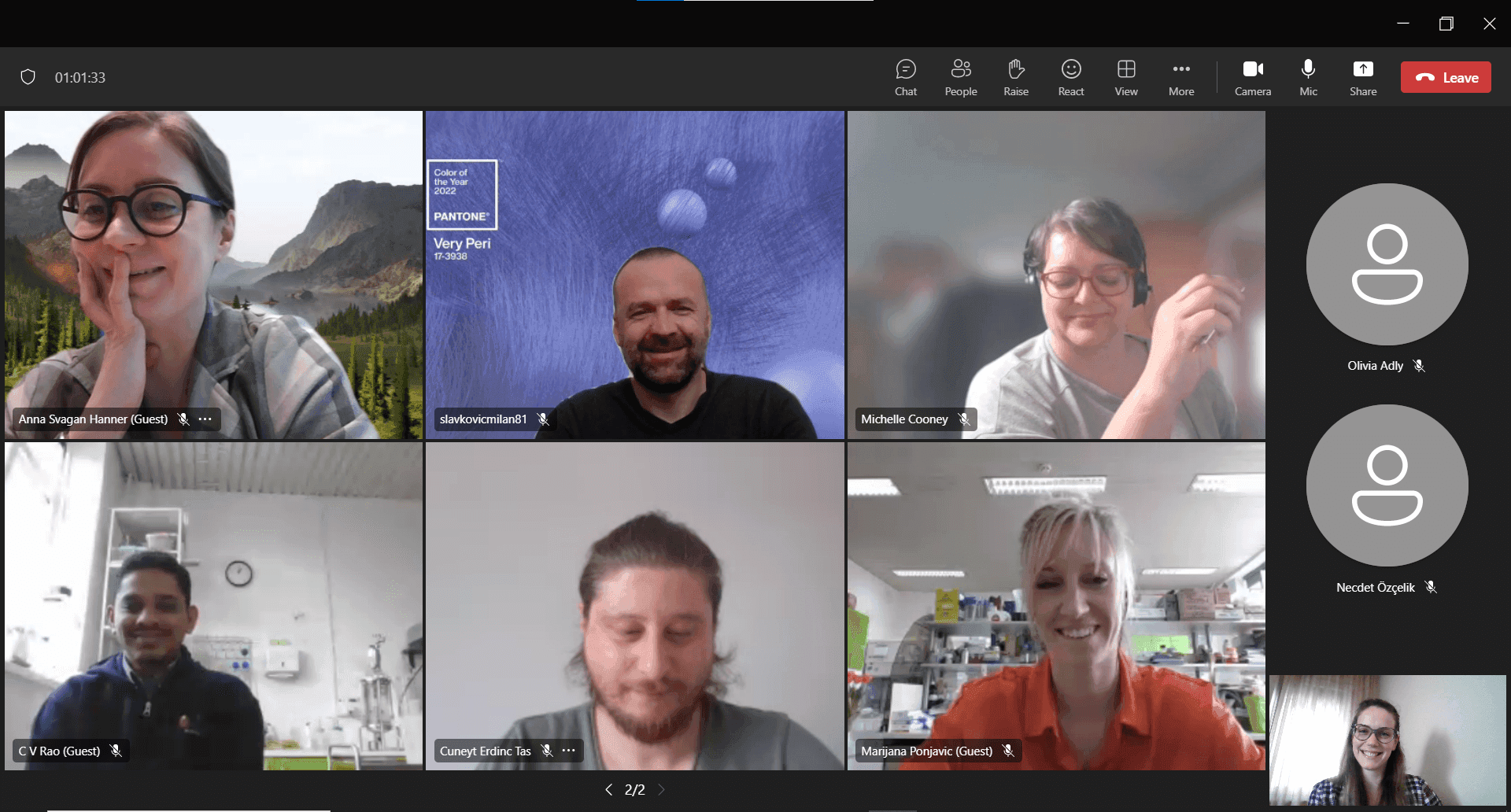 Second screenshot of people grid on Teams taken during the EcoPlastiC online steering meeting