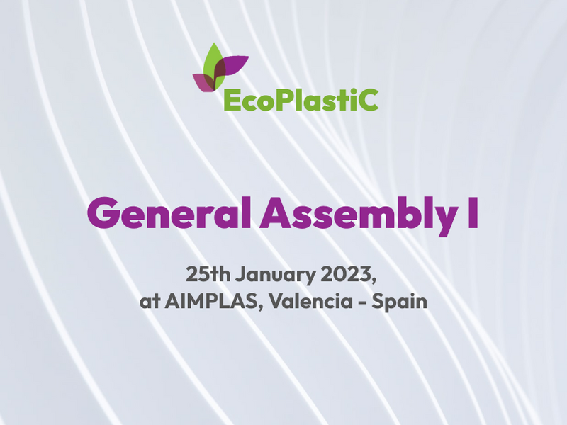 Cover Image for First general assembly at AIMPLAS