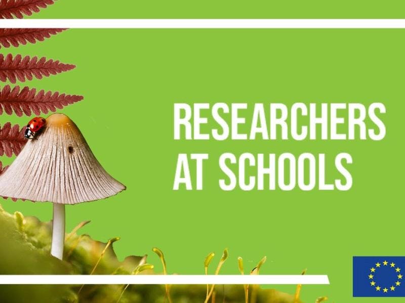 Cover Image for European Researchers’ Night ‘Researchers in Schools’ continues in 2024