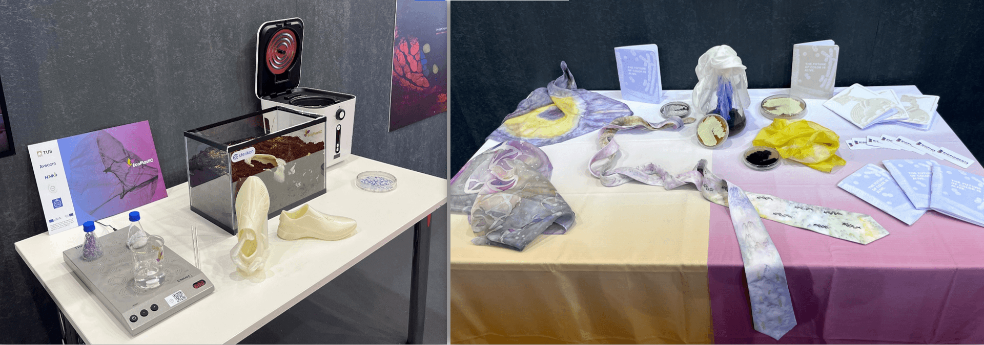 Two main concepts that IMGGE team presented at the Fair: BIOMATERIALS and BIOPIGMENTS