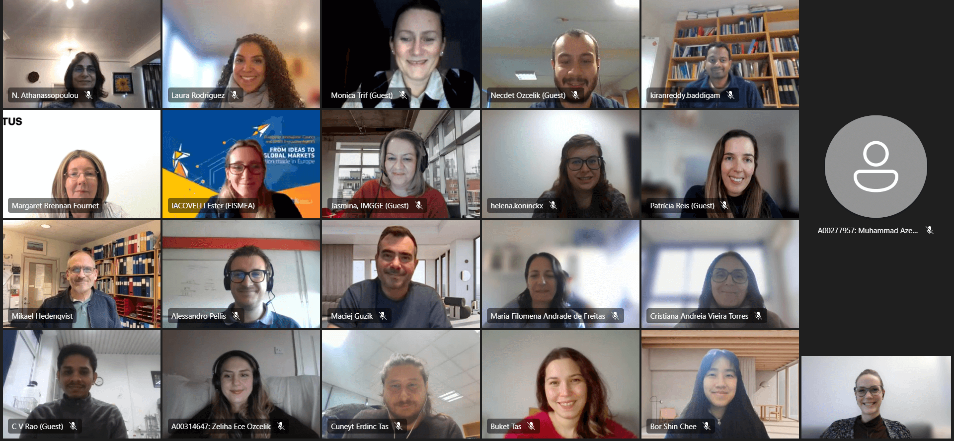 Online meeting screenshot