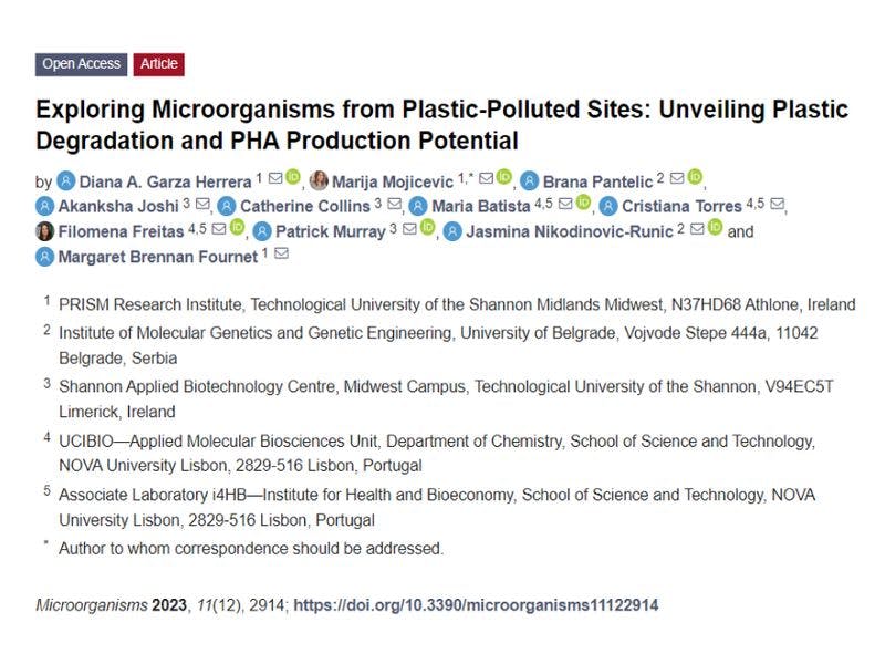 Cover Image for Exploring Microorganisms from Plastic-Polluted Sites: Unveiling Plastic Degradation and PHA Production Potential