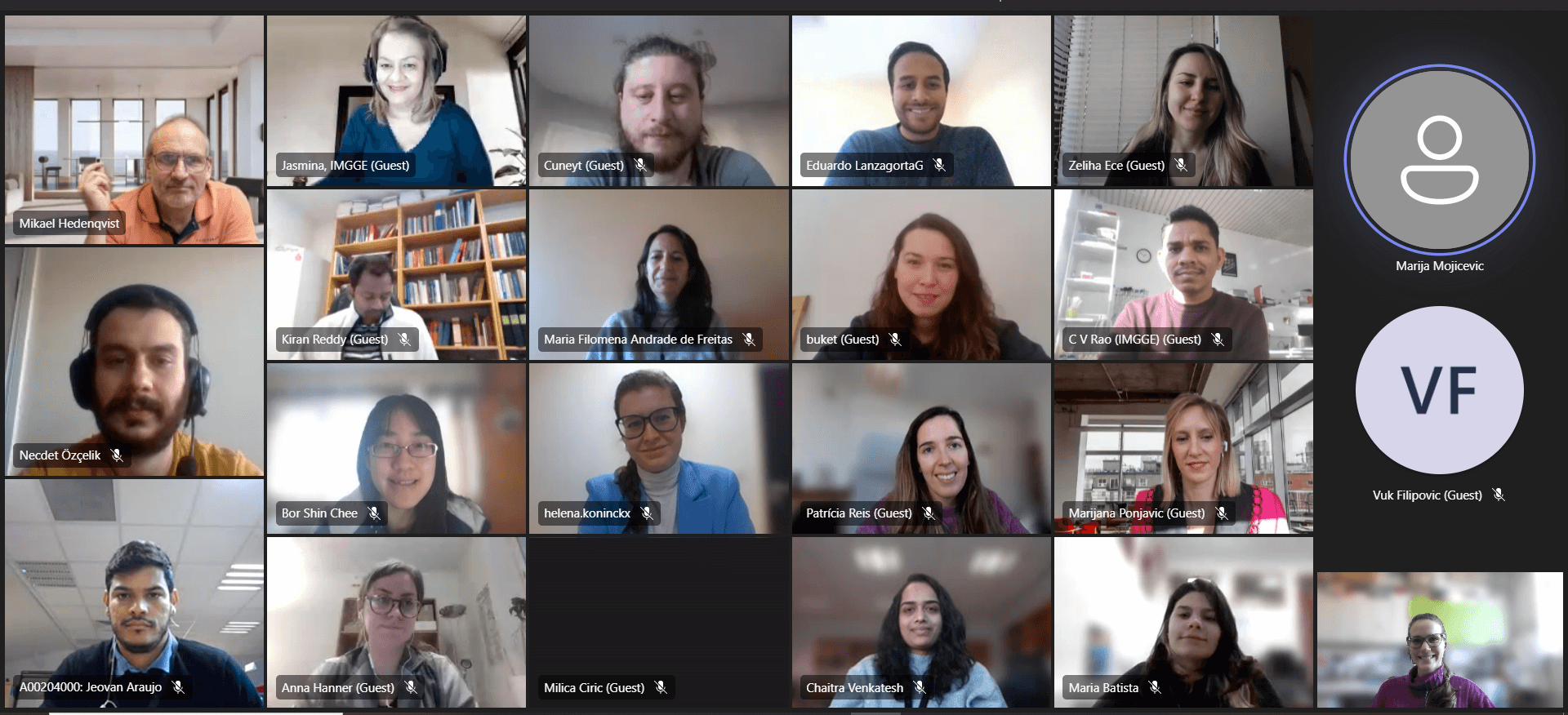 Online meeting screenshot